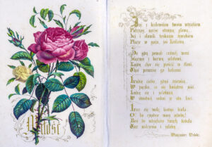 Maxymilian Fajans, Kwiaty i poezje. Warszawa : nakł. Maxymilian Fajans, 1858