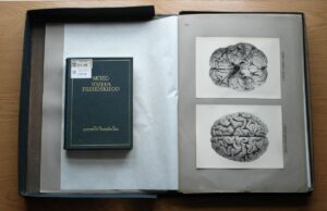 Rose Maksymilian, „Mózg Józefa Piłsudskiego. Cz. 1”, Wilno 1938.